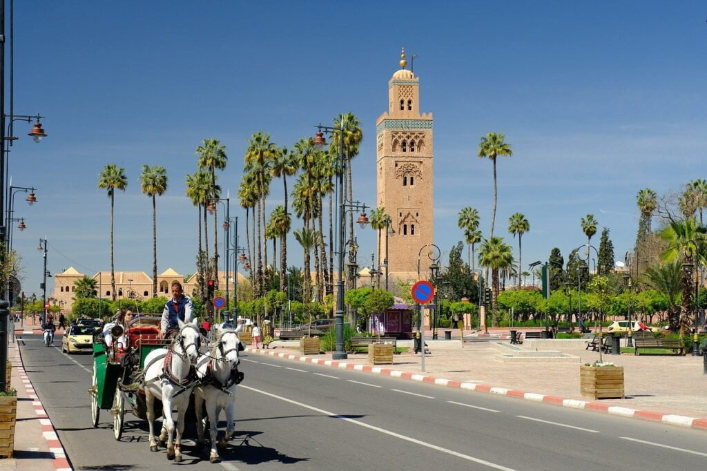 7 Amazing Day Trips from Marrakech You Will Love in 2026