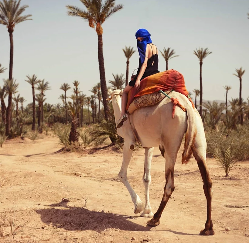 Camel Ride Tour