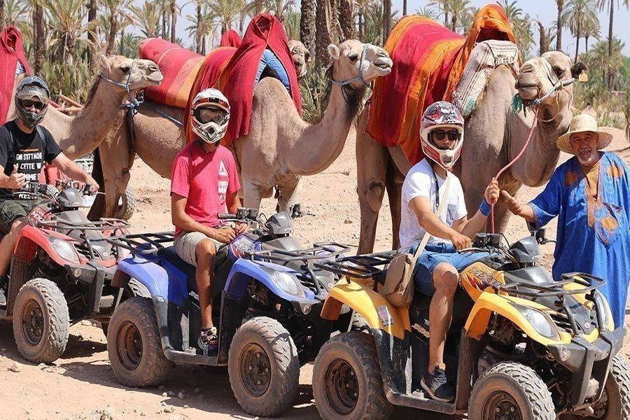 Camel and Quad
