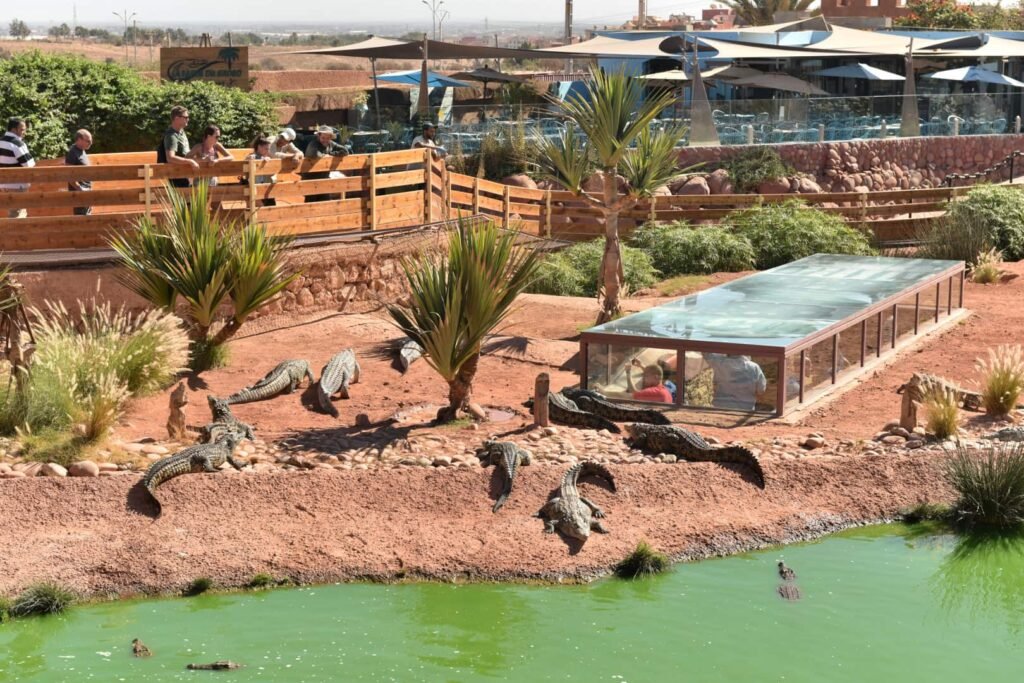 7 Best Morocco Tours from Marrakech for a Dream Travel Experience