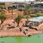 7 Best Morocco Tours from Marrakech for a Dream Travel Experience