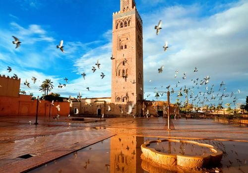 7 Amazing Day Trips from Marrakech You Will Love in 2026